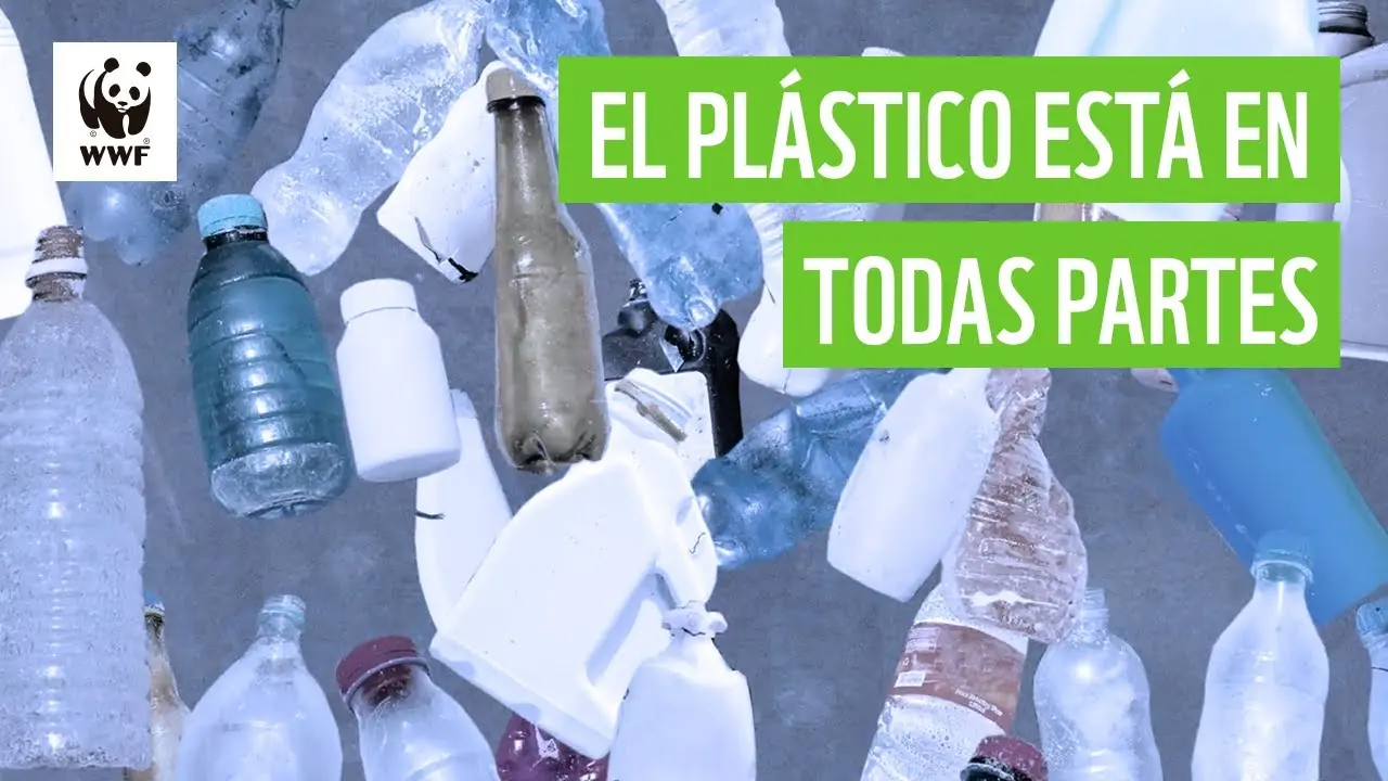 basta de plastico - Dónde se forman las gigantes islas de plástico