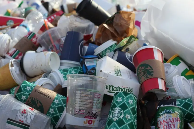 cafe en vaso de plastico - Dónde se tira el vaso de café