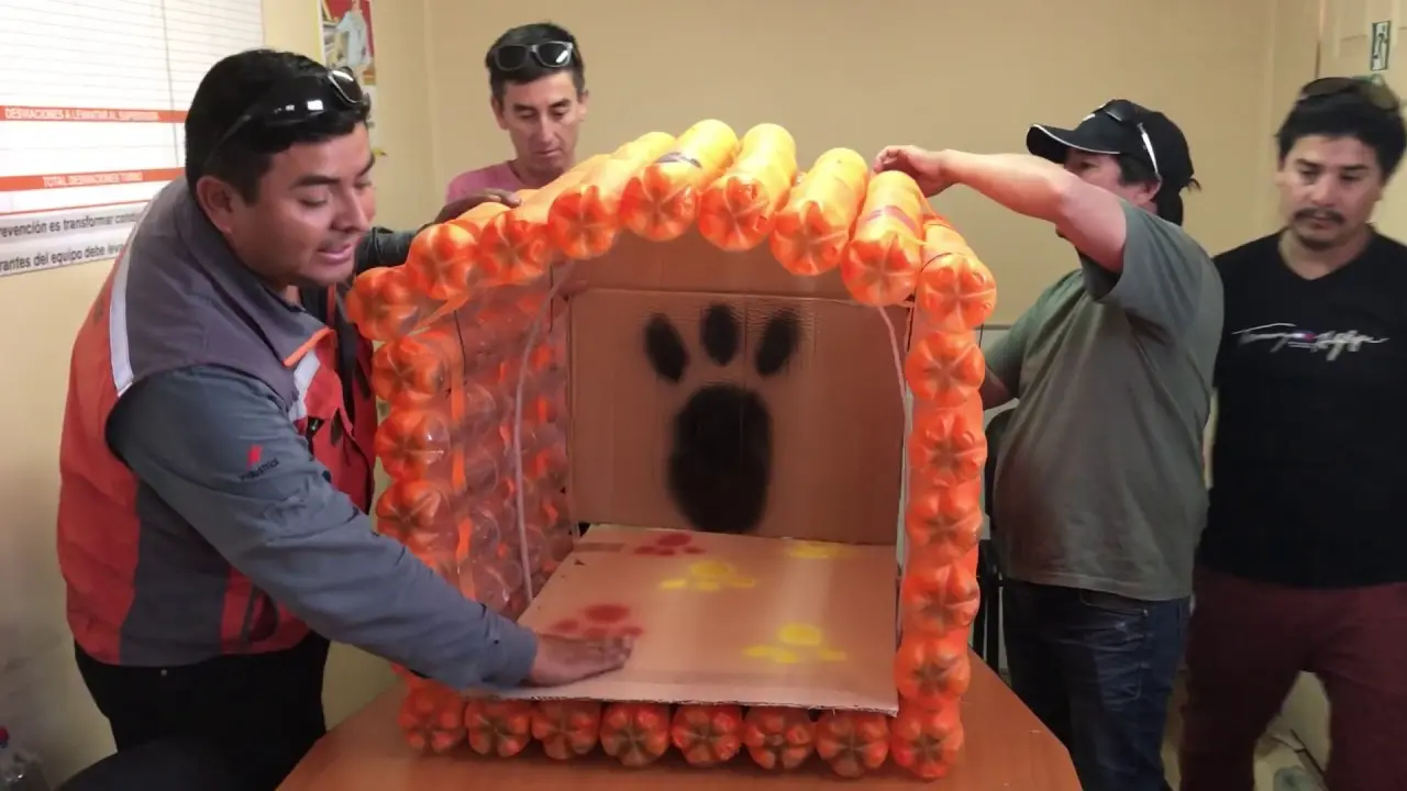 casa para perros con botellas de plastico - Están bien las botellas de plástico para los perros