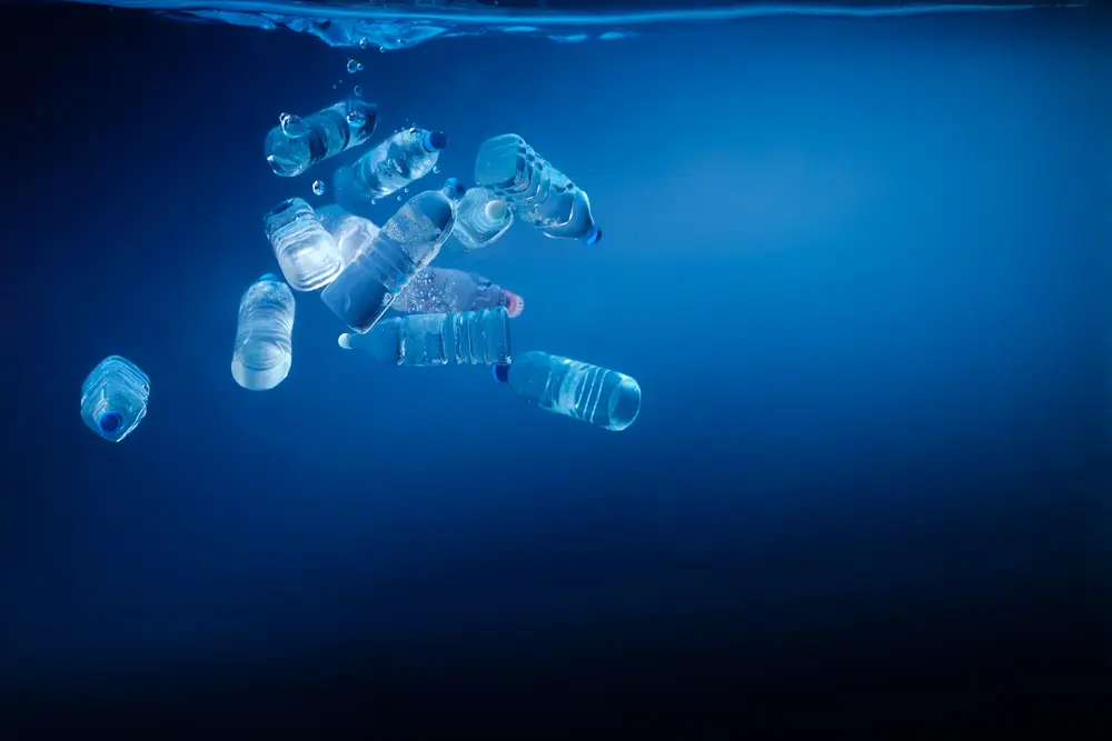 botella plastico agua de aca salud - Las botellas de agua de plástico liberan toxinas