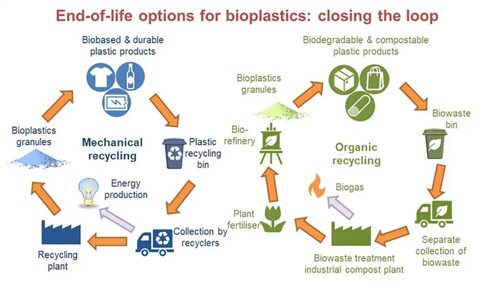 el plastico es un material biodegradable - Por qué el plástico no es biodegradable