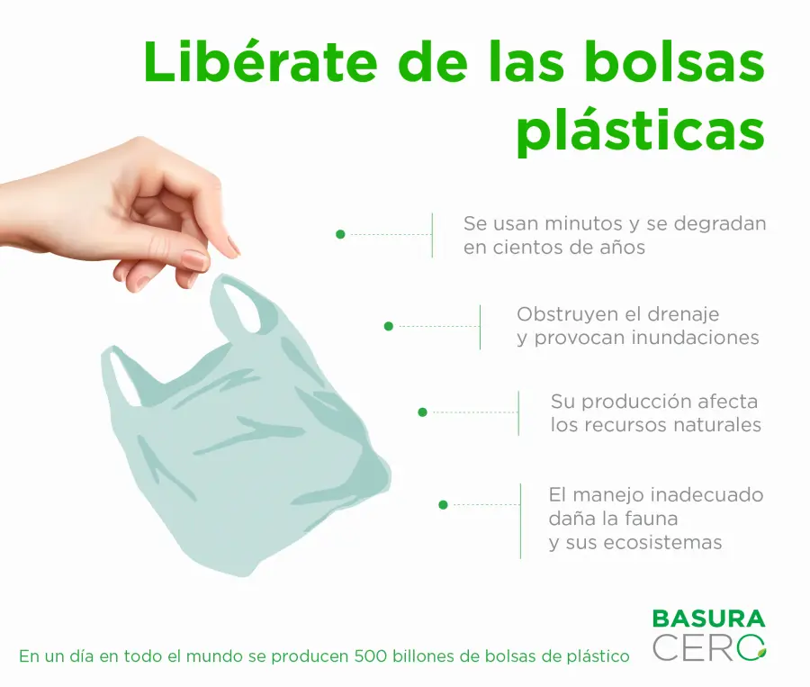 argumentos en contra de las bolsas de plastico - Por qué es malo utilizar bolsas de plástico