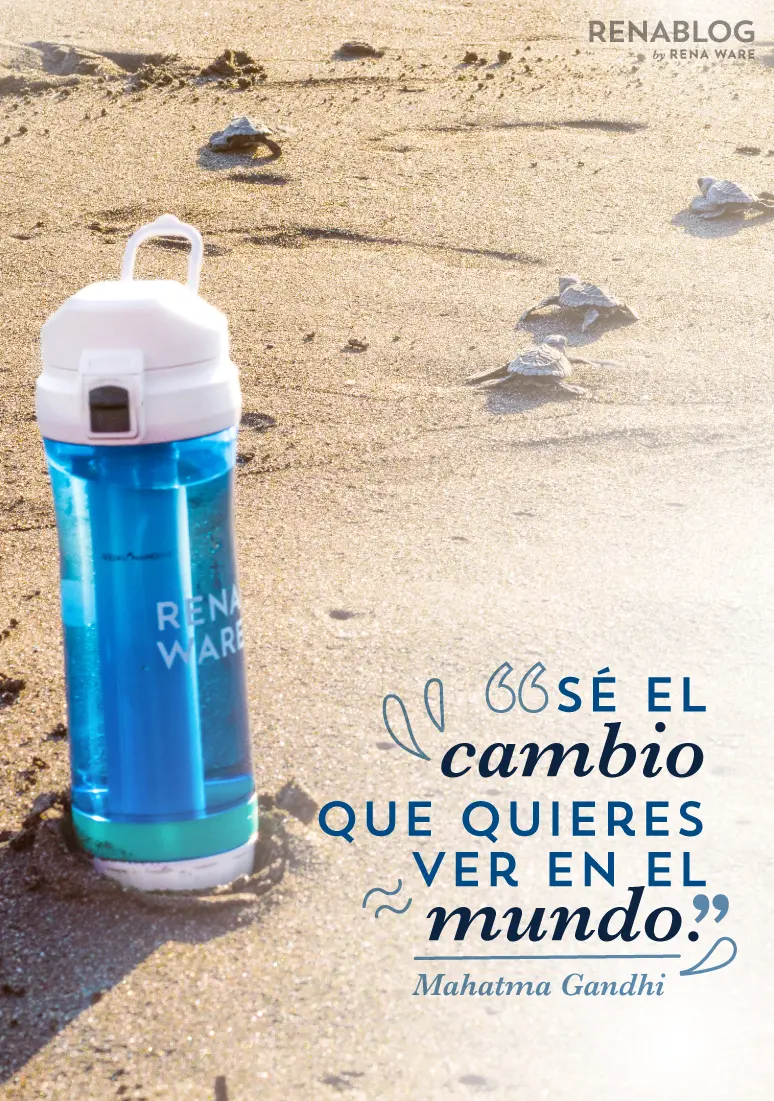 frases para reciclar botellas de plastico - Por qué es tan importante reciclar