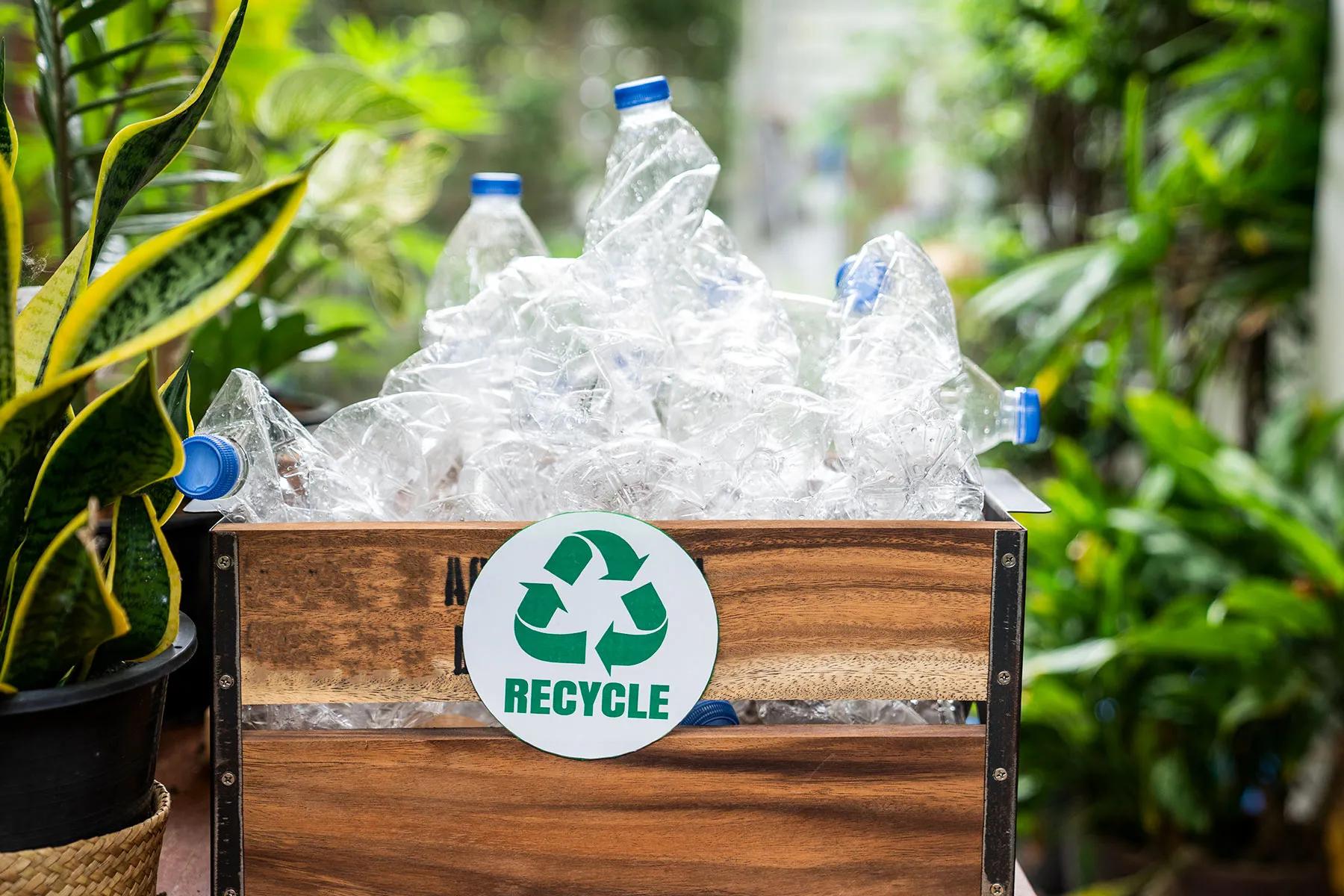 botellas de plastico bacterias - Por qué no deberías reutilizar las botellas de plástico