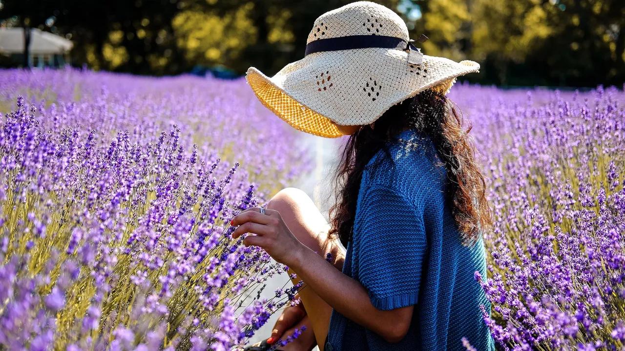 lavanda de plastico - Por qué se marchita la lavanda