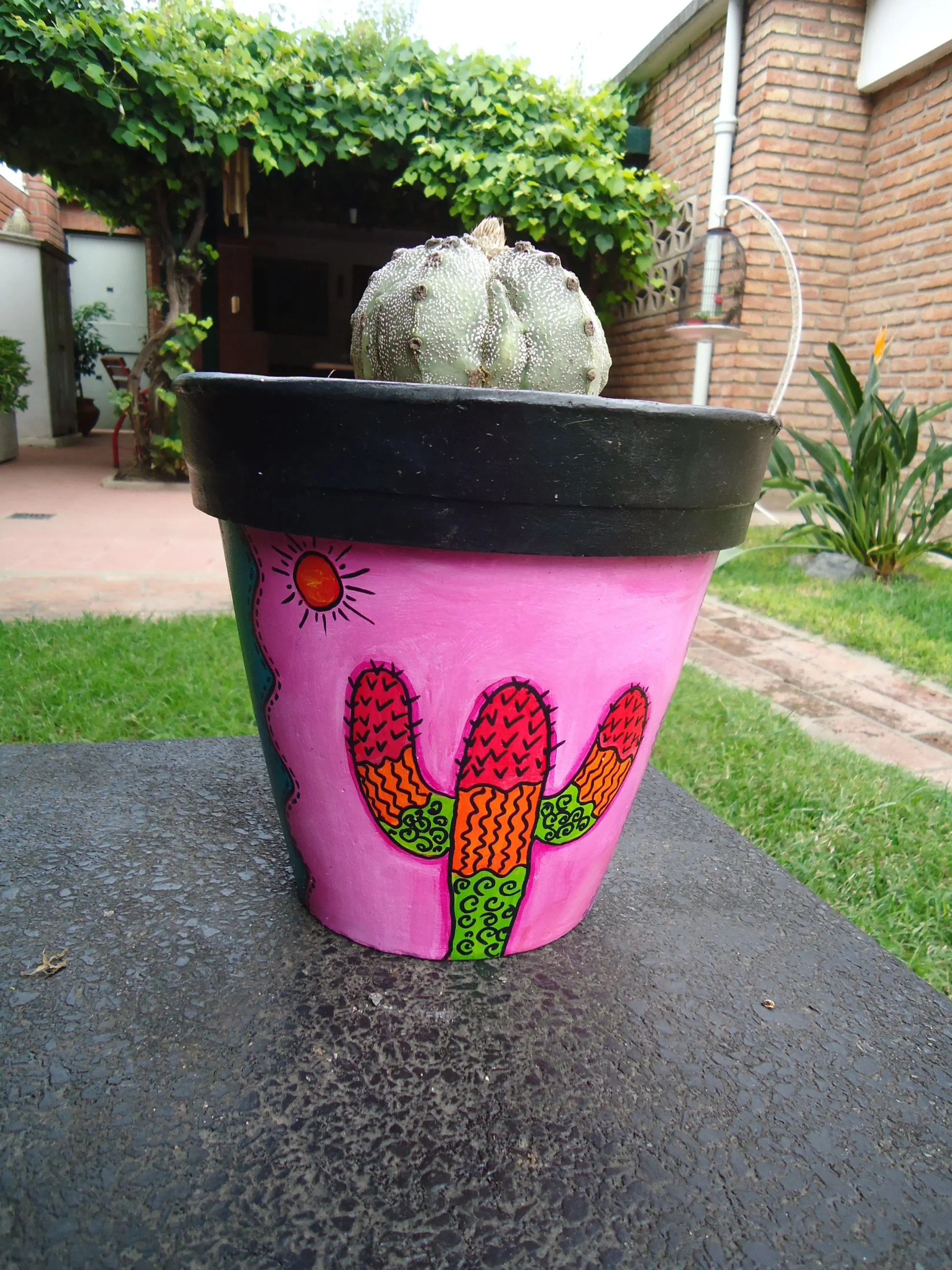 decoracion d e macetaaas con acrilico - Puedes usar pintura acrílica en macetas de plástico