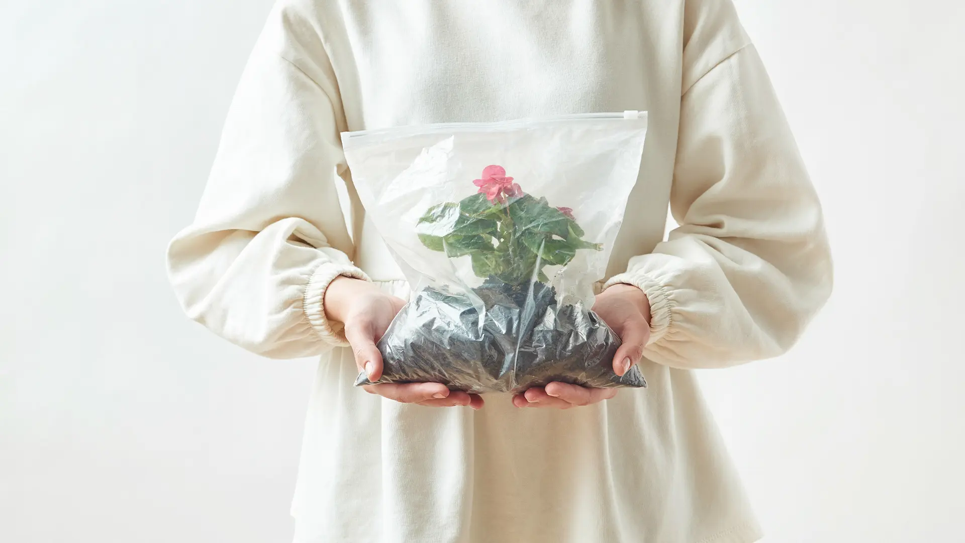 Bolsas de papel vs Plástico: ¿Cuál contamina menos? - Qué bolsa es mejor para el medio ambiente bolsas de papel vs plastico - Qué bolsa es mejor para el medio ambiente
