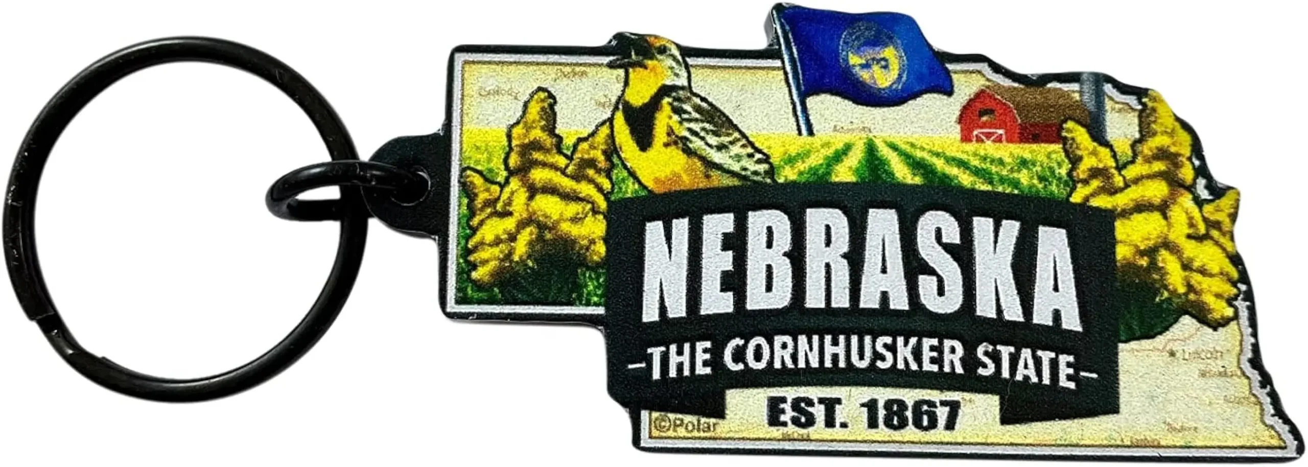 color nebraska acrilico - Qué color es Nebraska