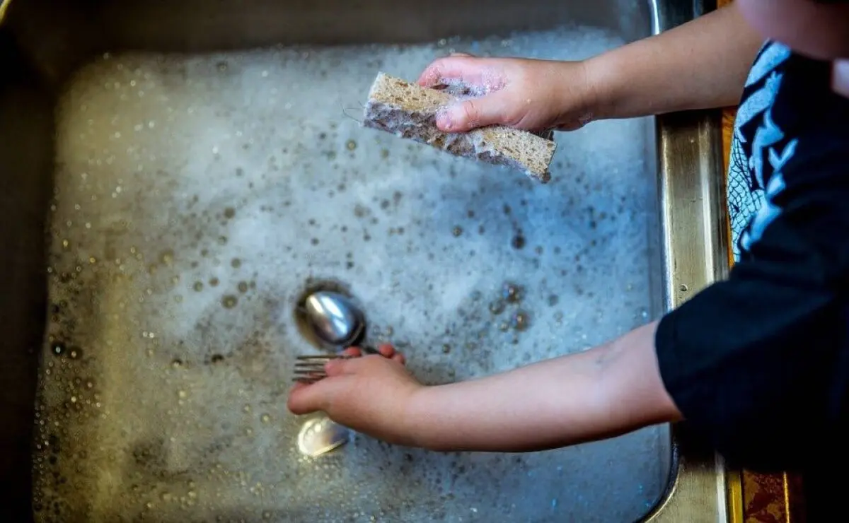 como quitar manchas de moho en plastico - Qué es bueno para quitar el moho