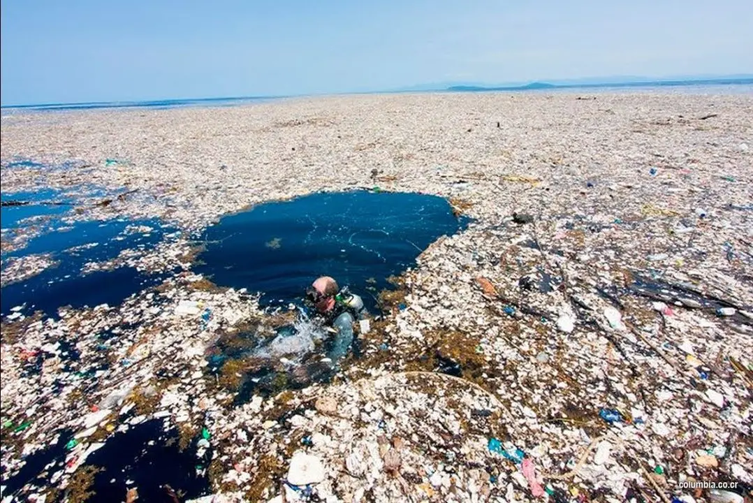 isla de plastico del atlantico norte - Qué es la isla de plástico del Pacífico Norte