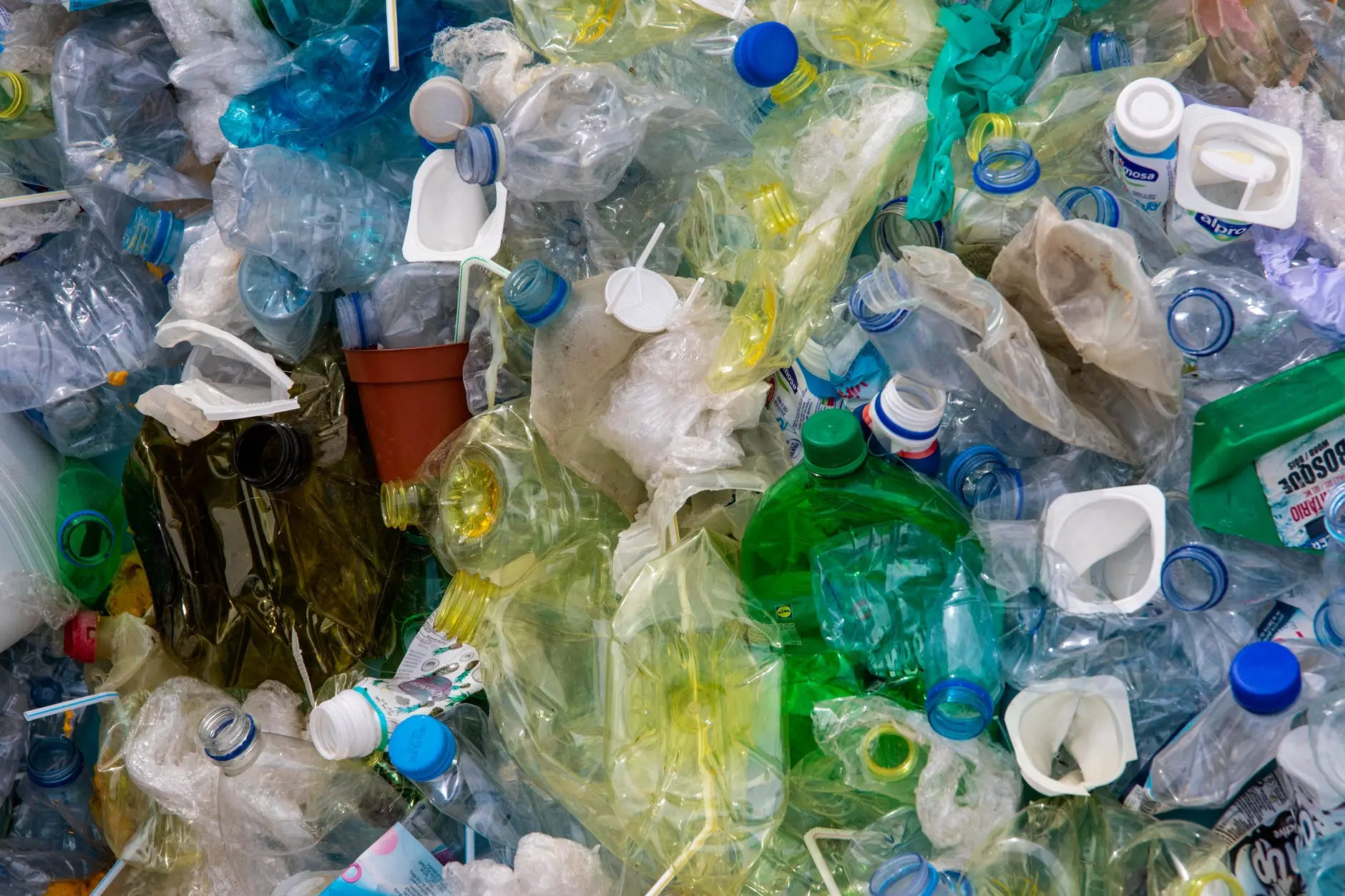 el plastico es inorganico - Qué es lo inorgánico y lo orgánico