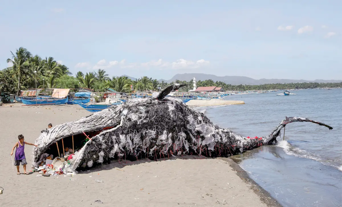 ballenas afectados por el plastico - Qué es lo que afecta a las ballenas