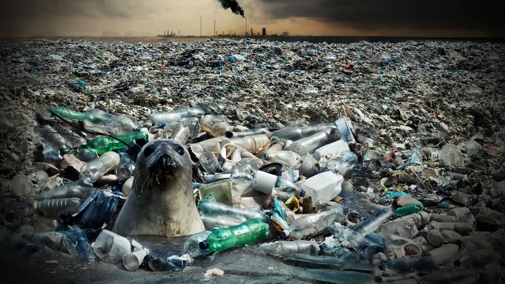 Contaminación plástica en Argentina - Qué es lo que más contaminan en Argentina contaminacion plastico argentina - Qué es lo que más contaminan en Argentina