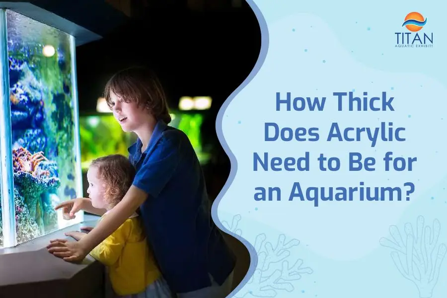 como hacer un acuario de acrilico - Qué grosor debe tener el acuario acrílico