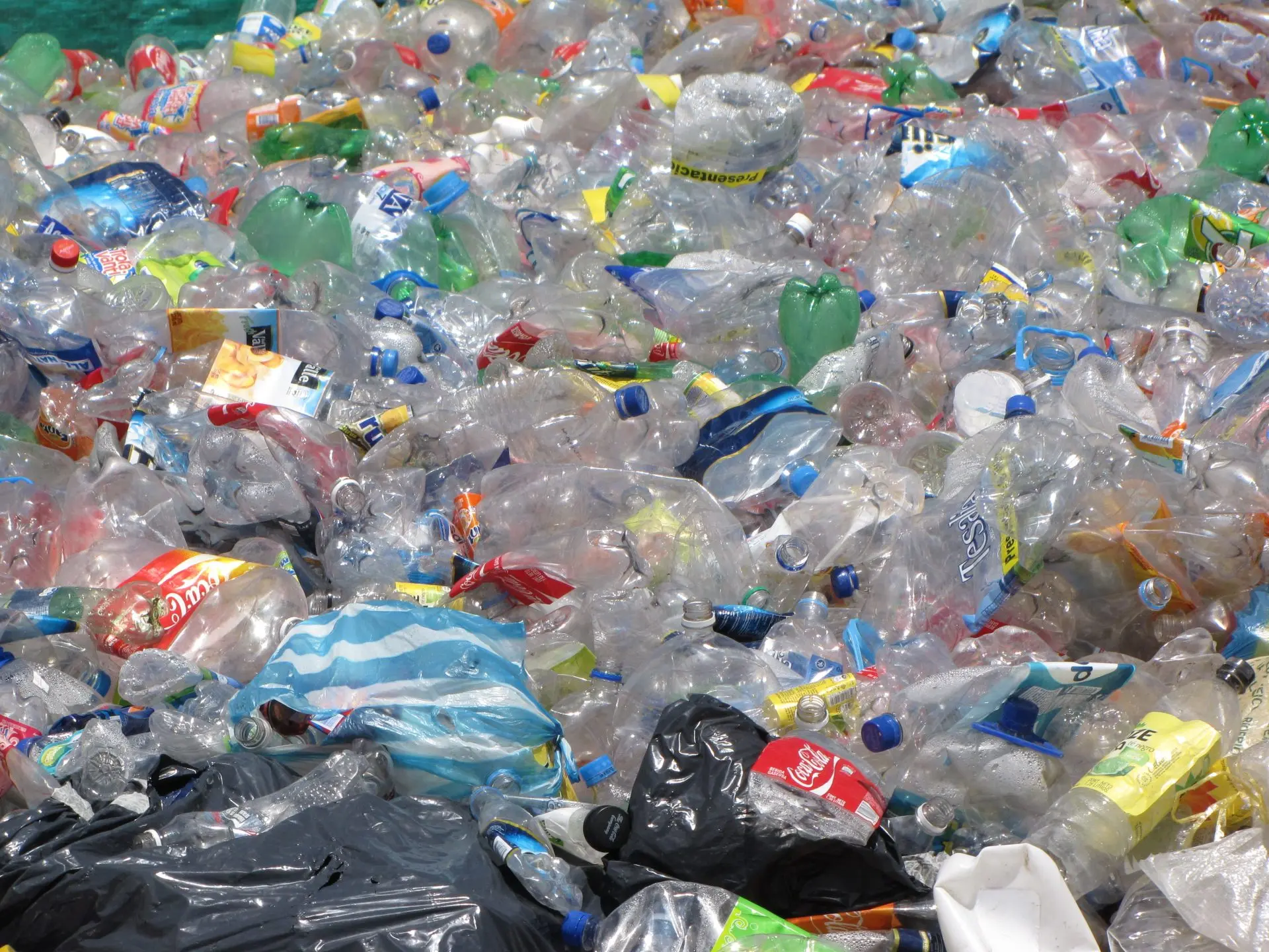 organizaciones contra el plastico - Qué institucion ayuda en el reciclaje