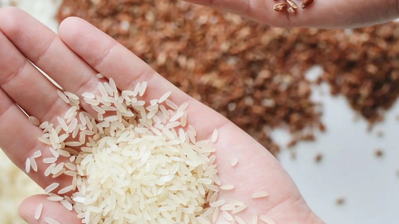 arros de plastico - Qué marcas de arroz es plástico