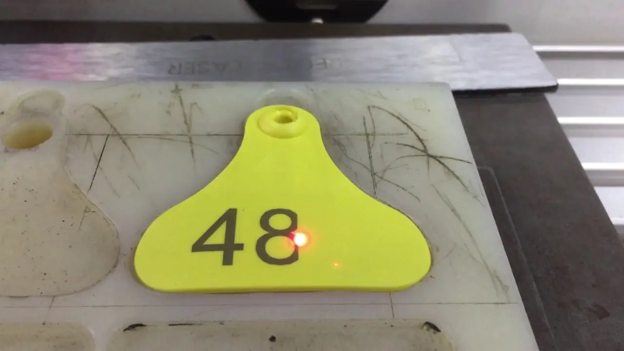 Grabadora láser para plástico: todo lo que necesitas saber - Qué materiales se pueden grabar con láser grabadora laser para plastico - Qué materiales se pueden grabar con láser