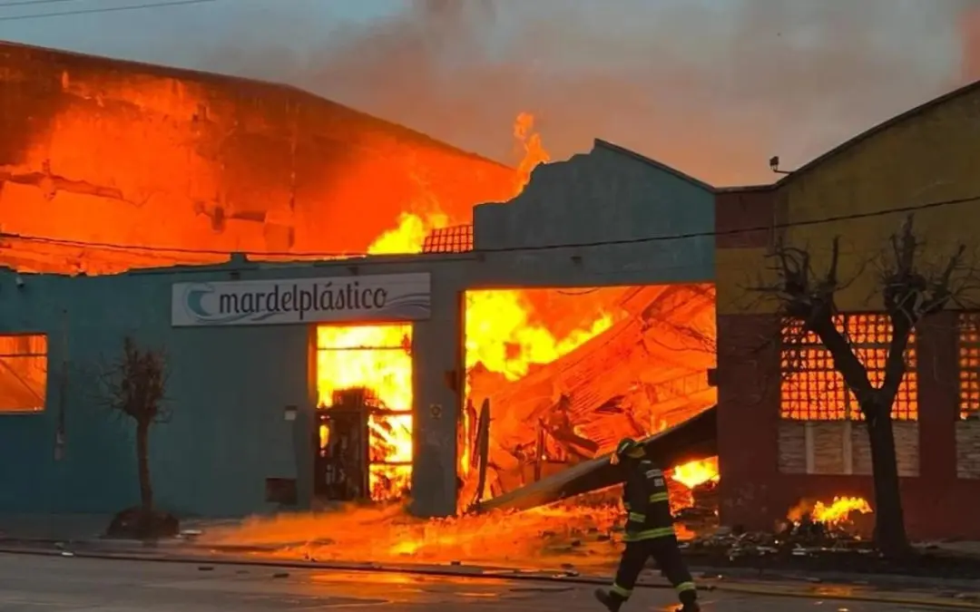 mar de plastico mar del plata - Qué mayorista se incendio en mar del Plata