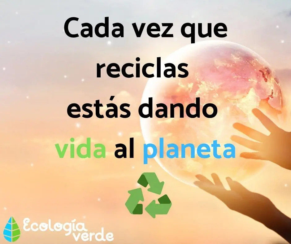 Frases sobre el reciclaje de plástico - Qué mensaje nos da el reciclaje frases sobre el reciclaje de plastico - Qué mensaje nos da el reciclaje