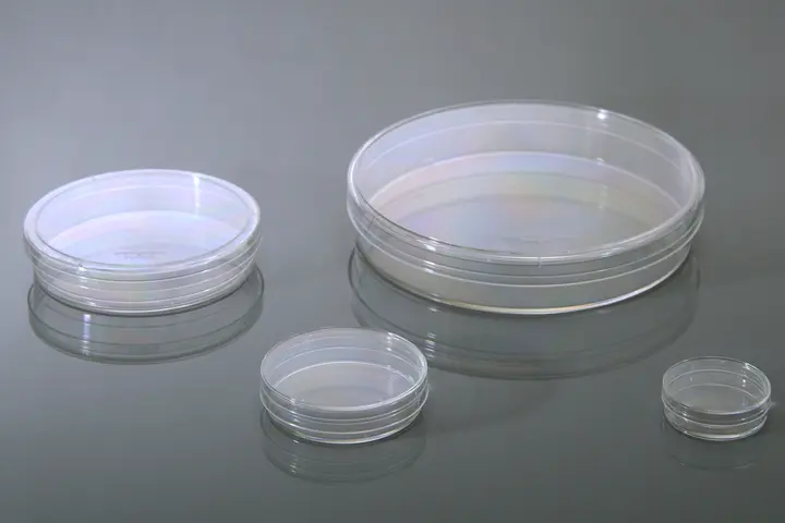 Caja de Petri Plástico: Tamaños y Características - Qué otros tamaños y tipos de placas Petri existen caja de petri plastico tamaños - Qué otros tamaños y tipos de placas Petri existen