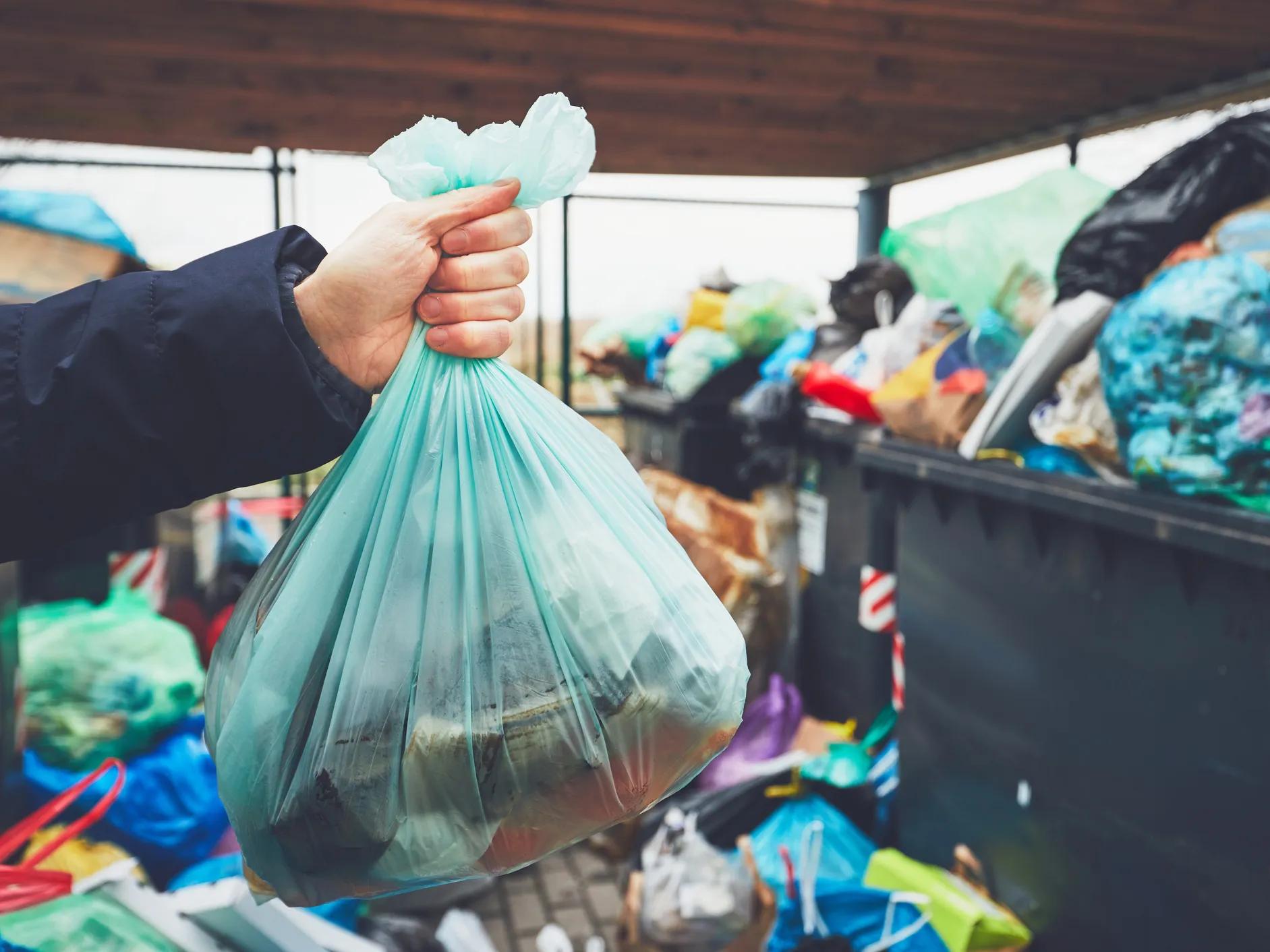 Prohibición de bolsas de plástico: un paso hacia un futuro más sostenible - Qué países prohíben el uso de bolsas plasticas prohiben bolsas de plastico - Qué países prohíben el uso de bolsas plasticas