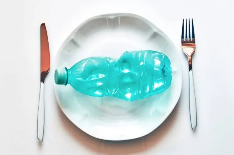 comer plastico - Qué pasa si comemos microplásticos