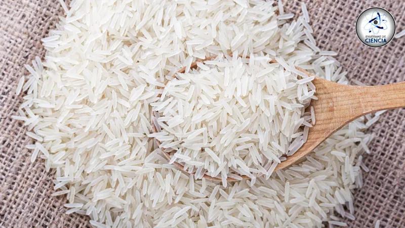 arroz de plastico verdad o mentira - Qué pasa si como arroz plástico