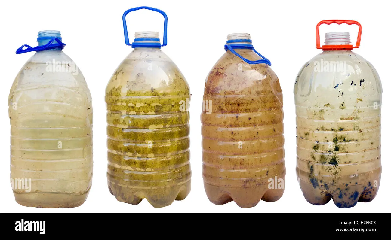 Botella de plástico sucio: ¿cuáles son los riesgos para la salud? - Qué pasa si no lavas la botella de agua botella de plastico sucio - Qué pasa si no lavas la botella de agua