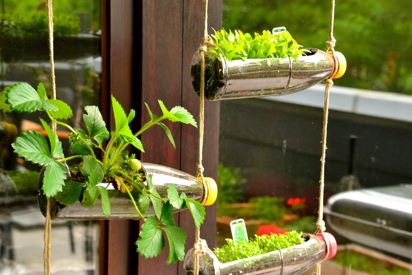 Jardín vertical con botellas de plástico: una solución sostenible para tu hogar - Qué se necesita para un jardín vertical jardin vertical con botellas de plastico - Qué se necesita para un jardín vertical
