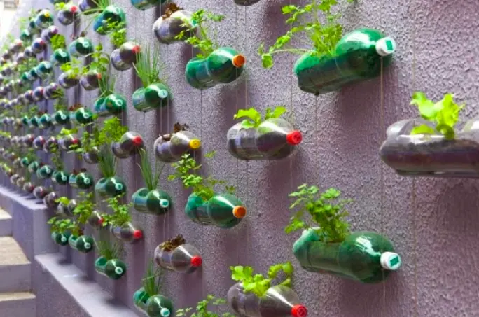 Botellas de plástico para sembrar plantas: una forma sencilla y ecoamigable - Que se puede sembrar en la botella de plástico botellas de plastico para sembrar plantas - Que se puede sembrar en la botella de plástico