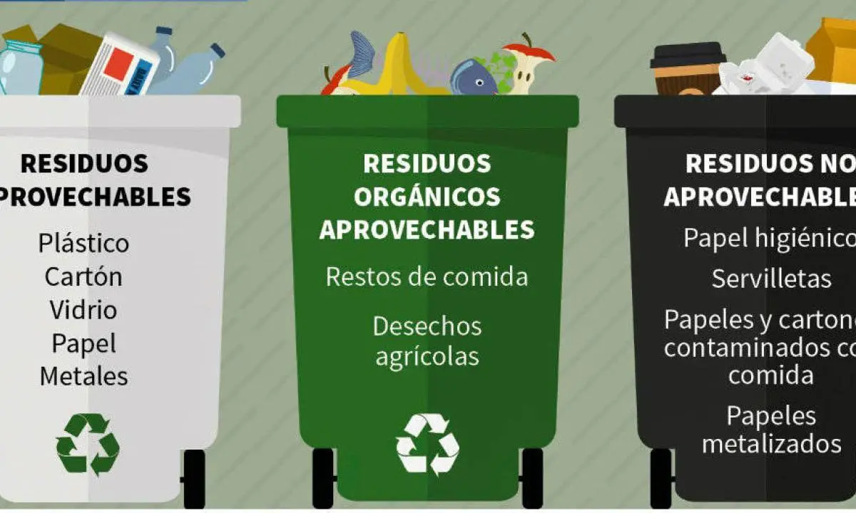La basura de plástico en el contenedor amarillo: un problema ambiental - Qué significa cada color de los contenedores de reciclaje basura de plastico contenedor amarillo - Qué significa cada color de los contenedores de reciclaje
