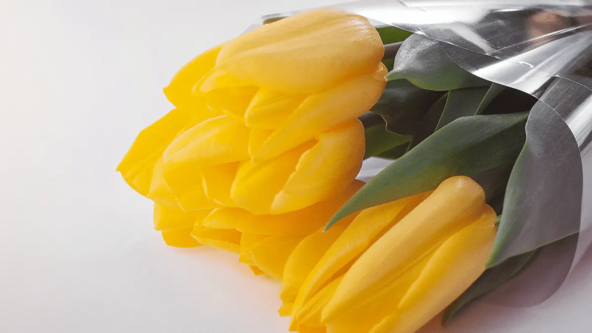 flolcitas amarillas pintadas con acrilico - Qué significado tiene la flor amarilla