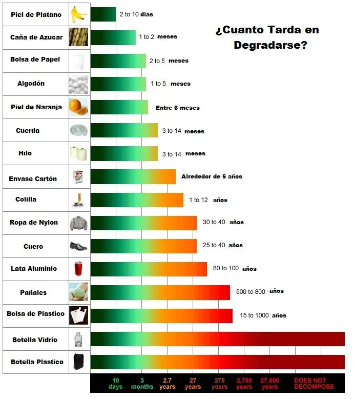 cuanto tarda en degradarse un plastico biodegradable - Qué son bolsas biodegradables y cuánto tiempo tardan en degradarse