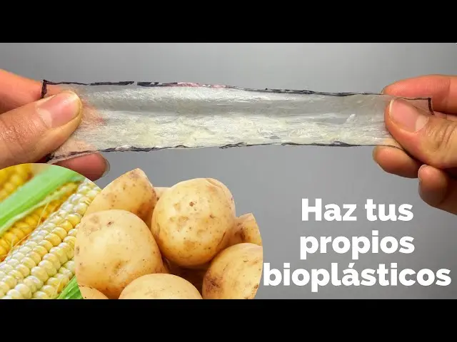Plástico a partir de almidón: una alternativa sostenible - Qué son los polímeros de almidón plastico a partir de almidon - Qué son los polímeros de almidón