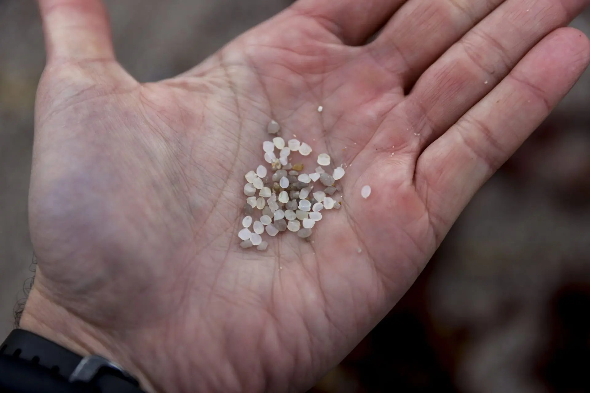 Qué es el pellet plástico - Qué son pellets de PET que es el pellet plastico - Qué son pellets de PET