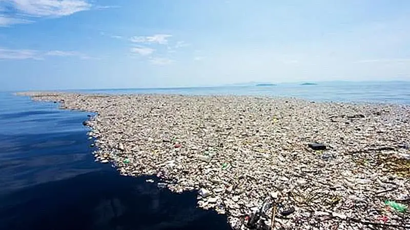 isla de plastico en el pacifico tamaño - Qué tamaño tiene el gran parche de basura del Pacífico