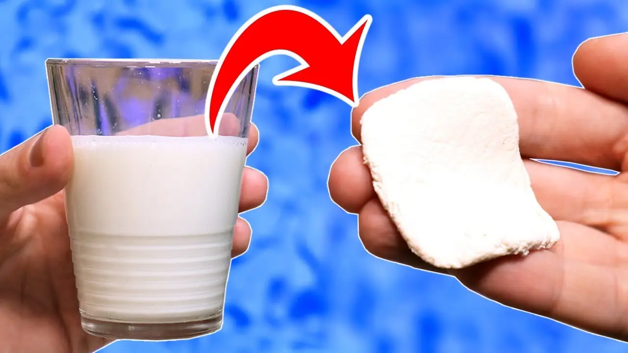ingredientes para hacer plastico - Qué tipo de compuestos pueden utilizarse para hacer bioplásticos