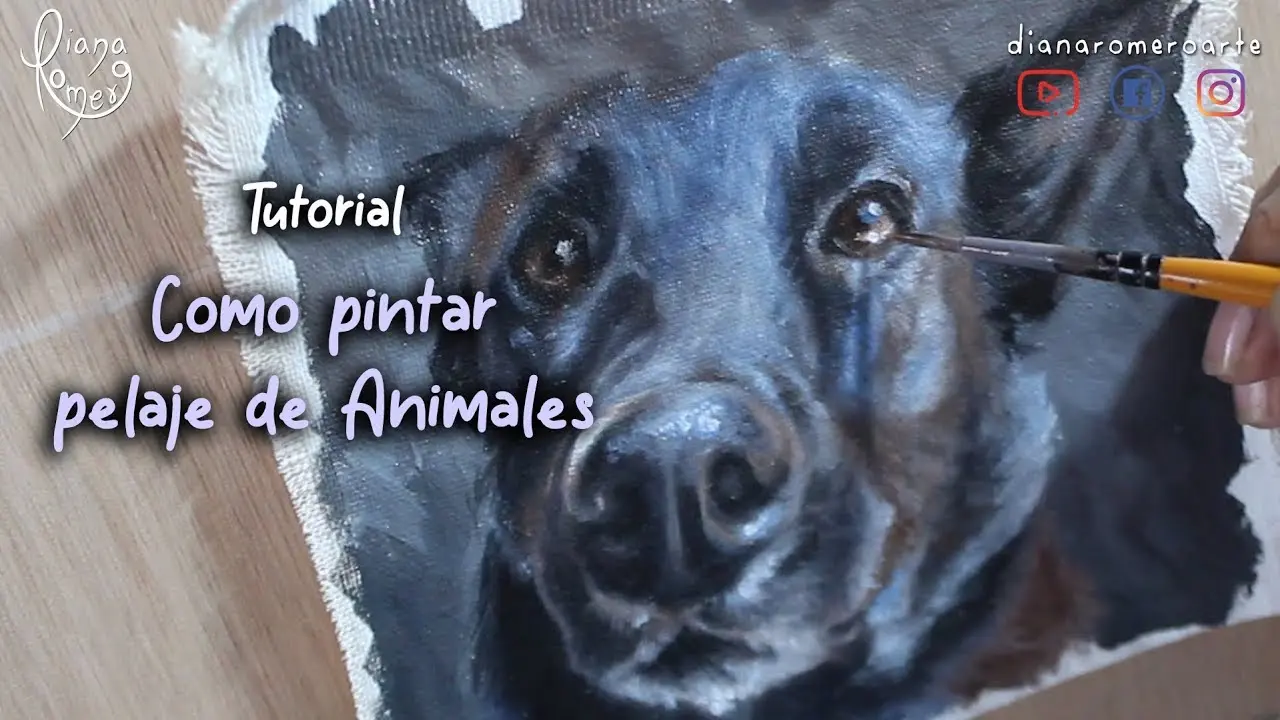 animales acrilico pelaje - Qué tipo de pelaje tienen los animales