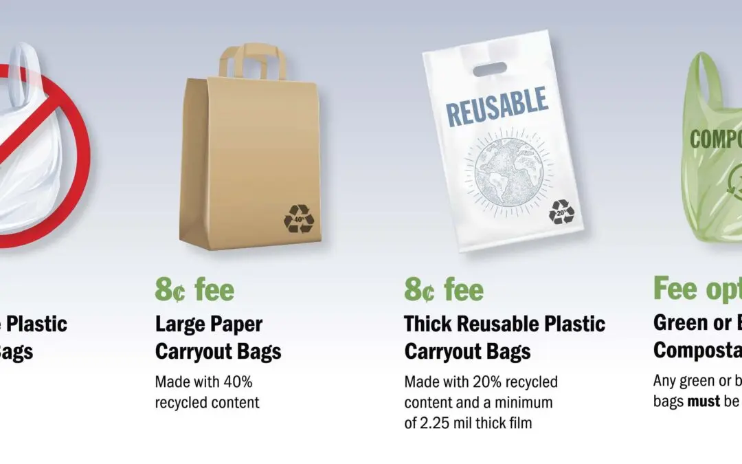 Prohibición de bolsas de plástico: un paso hacia un futuro más sostenible - Qué tipo de plásticos prohibe la ley de bolsas plasticas prohiben bolsas de plastico - Qué tipo de plásticos prohibe la ley de bolsas plasticas